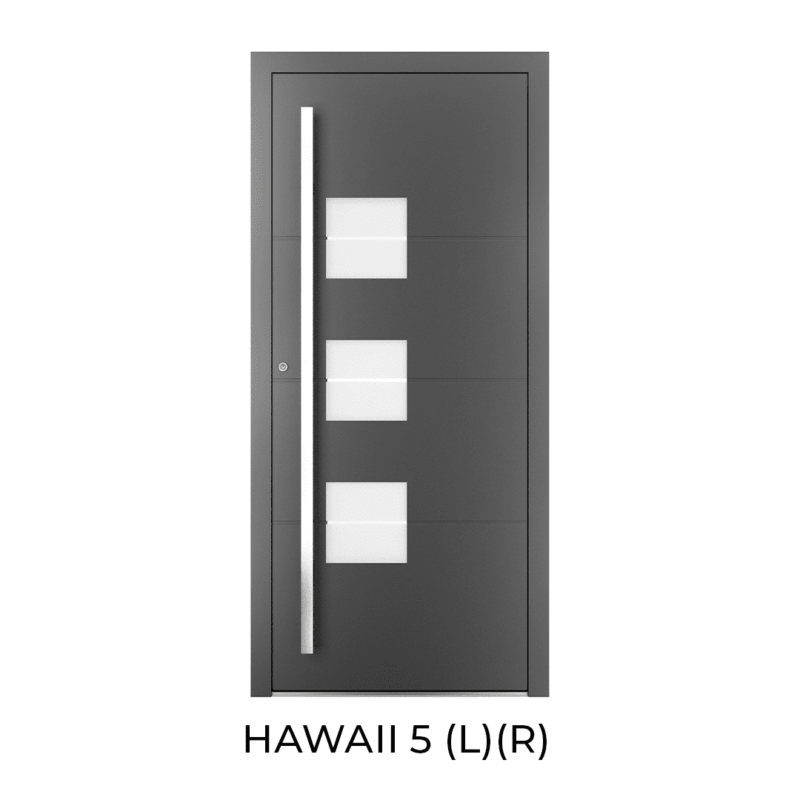 HAWAII 5 (L)(R) porta